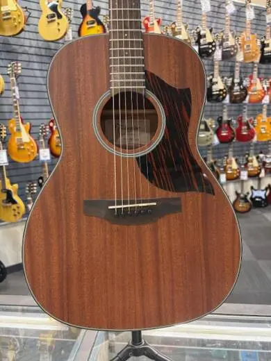 Store Special Product - Takamine - GY11ME-NS